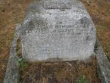 image of grave number 81742